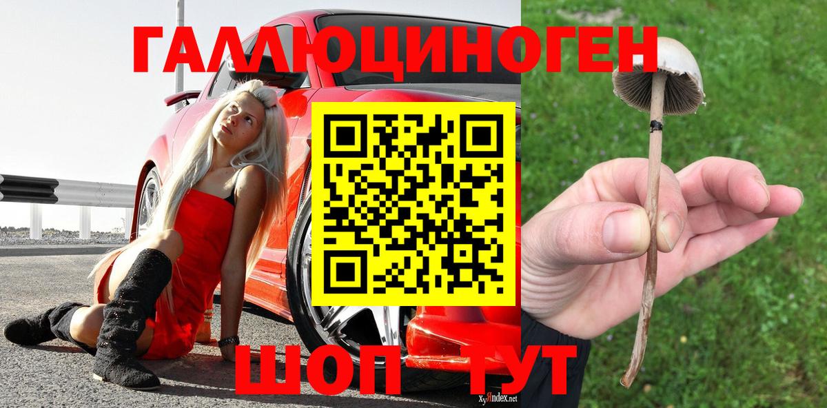 Галлюциногенные грибы Psilocybine cubensis Жуковский